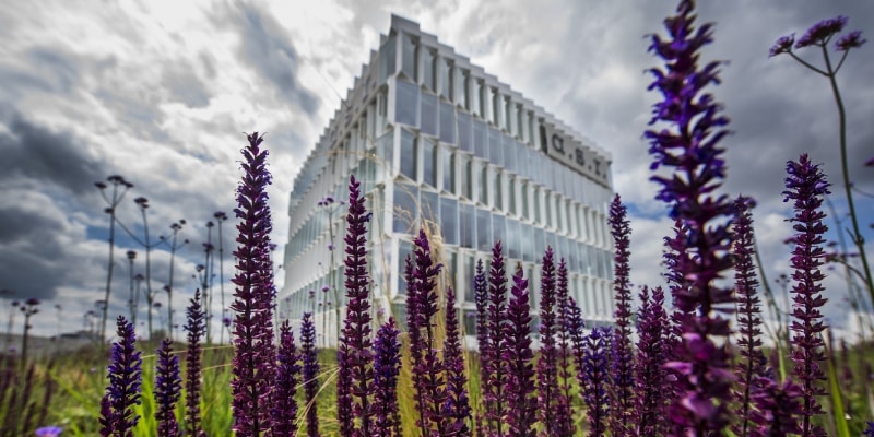 asr gebouw met heide