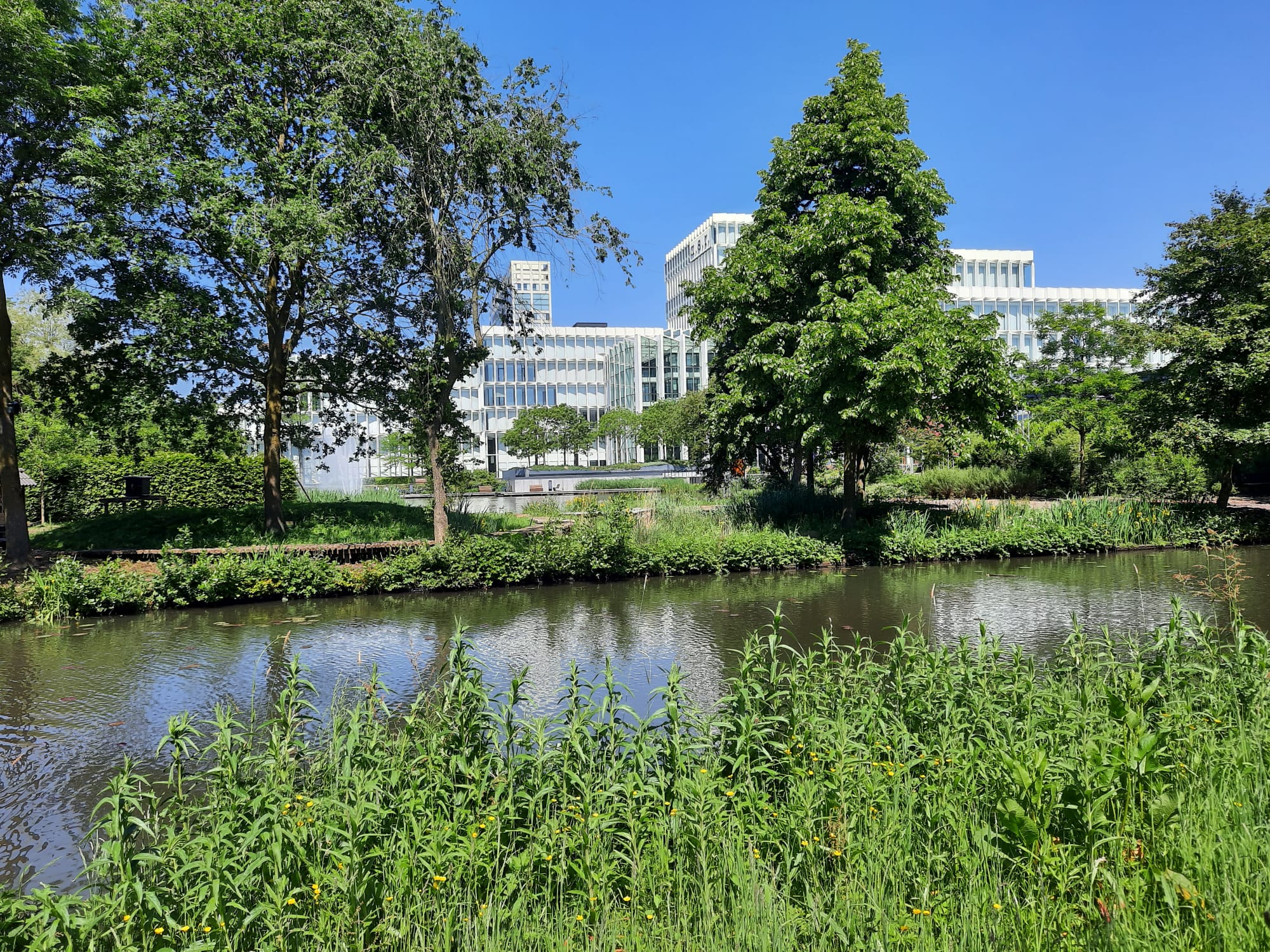 Kantoor asr vanuit park gefotografeerd mei 2024