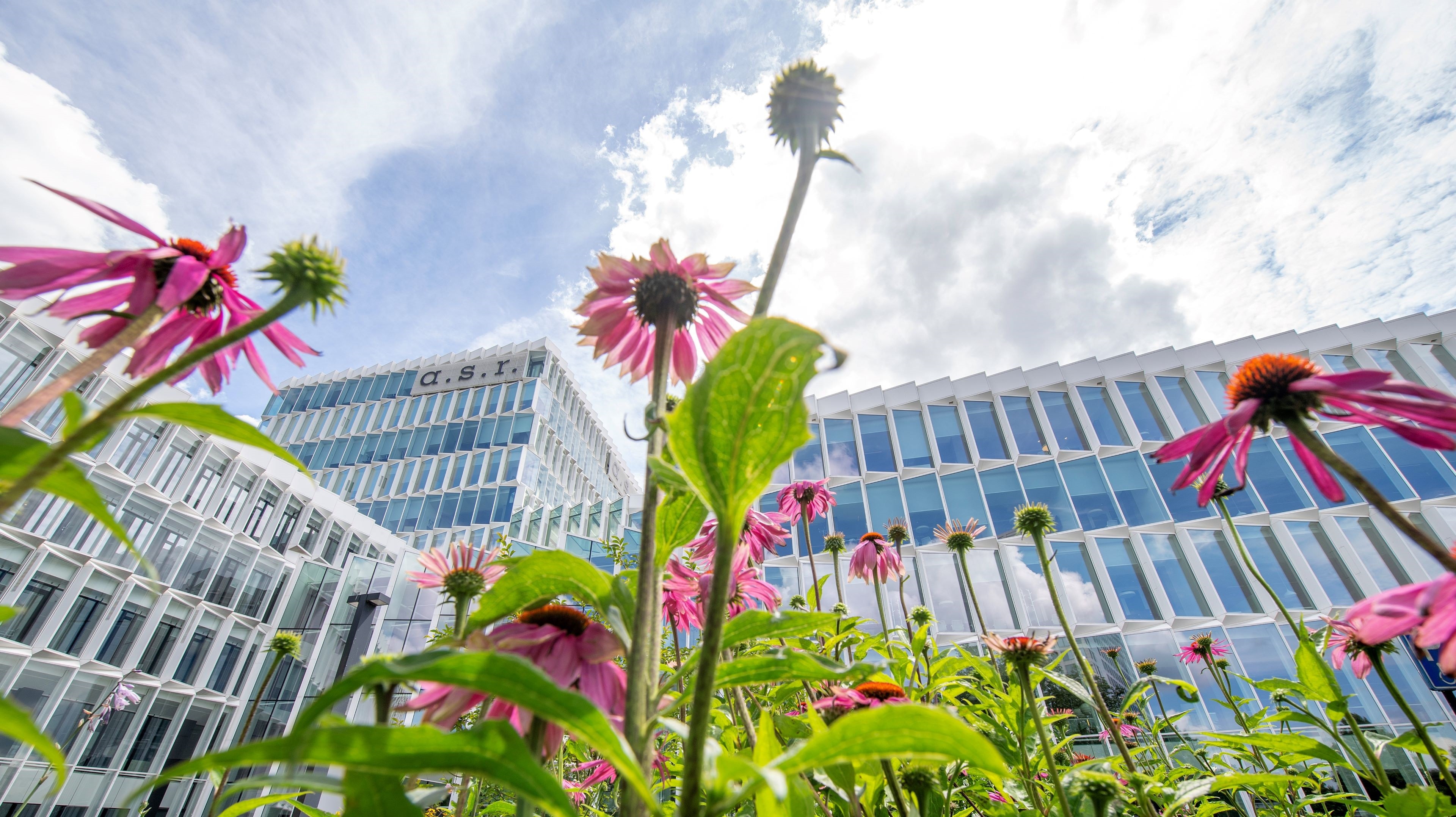 a.s.r. gebouw met bloemen ervoor